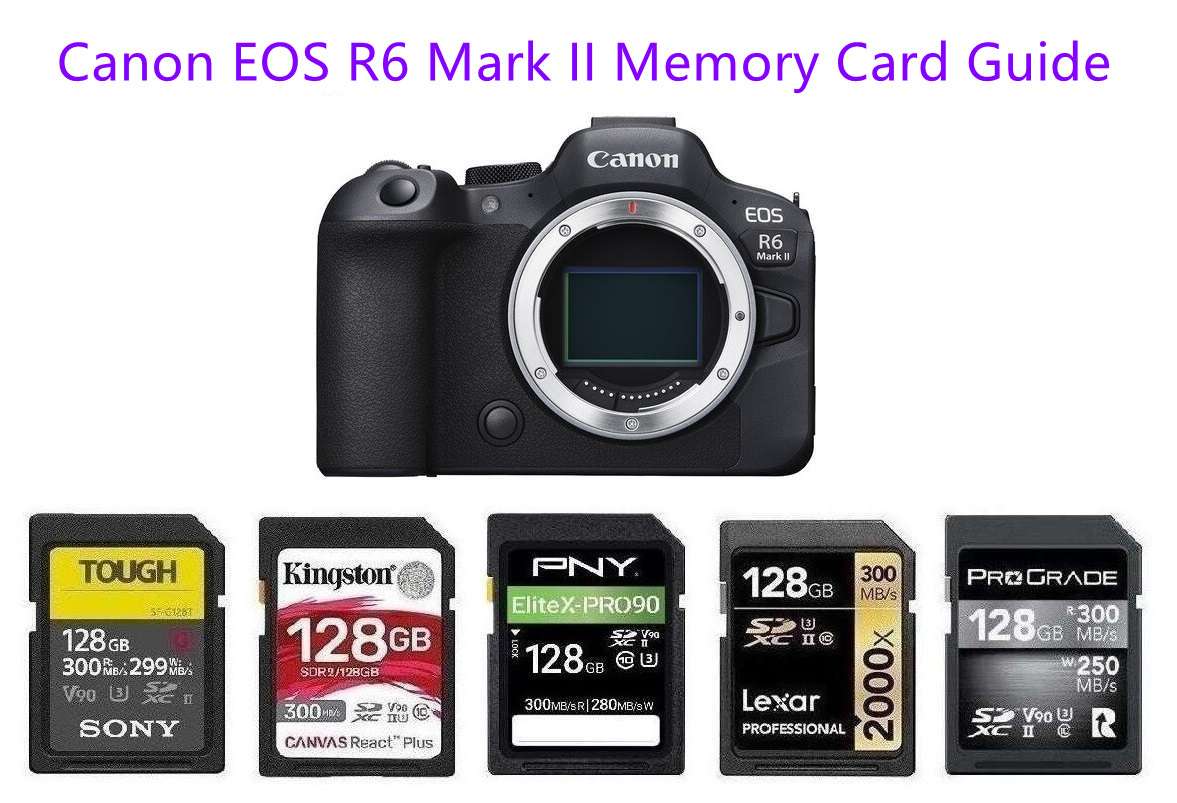 best-memory-cards-for-canon-eos-r6-mark-ii-photography-note